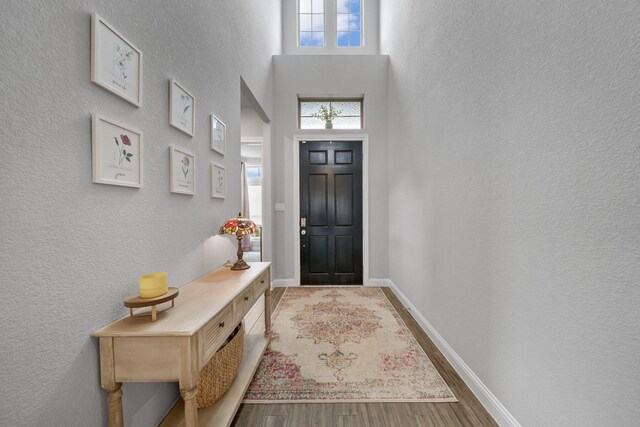 4381 Victoria Pine Dr, Spring, TX 77386 - entryway with wood finished floors, a textured wall, baseboards, and a high ceiling