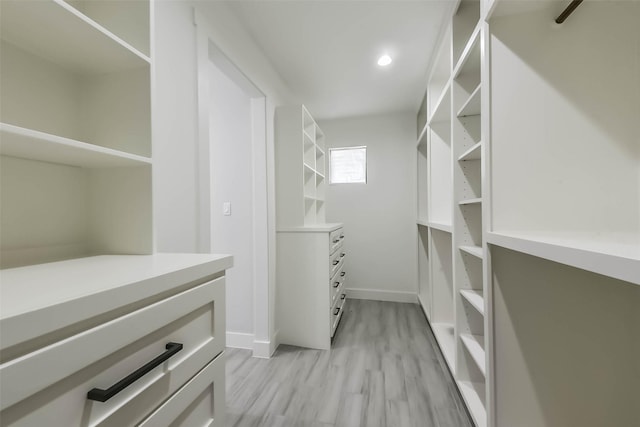spacious closet featuring light wood-type flooring
