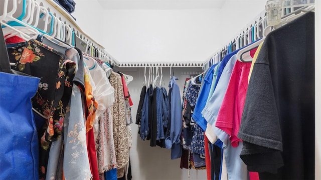 view of walk in closet