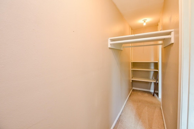 walk in closet with carpet floors
