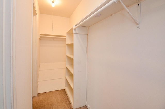 walk in closet featuring light carpet