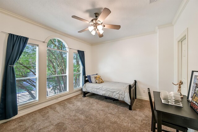 5217 Beech St, Bellaire, TX 77401 - bedroom featuring carpet floors, crown molding, and multiple windows