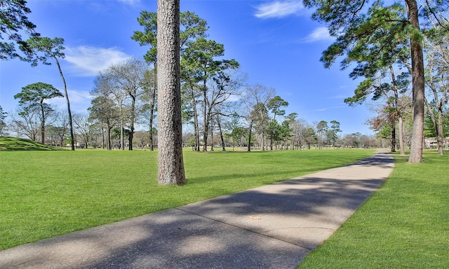 view of property's community with a lawn