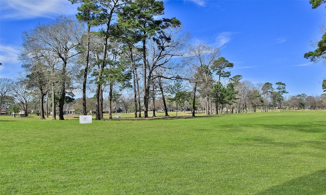 view of home's community featuring a yard