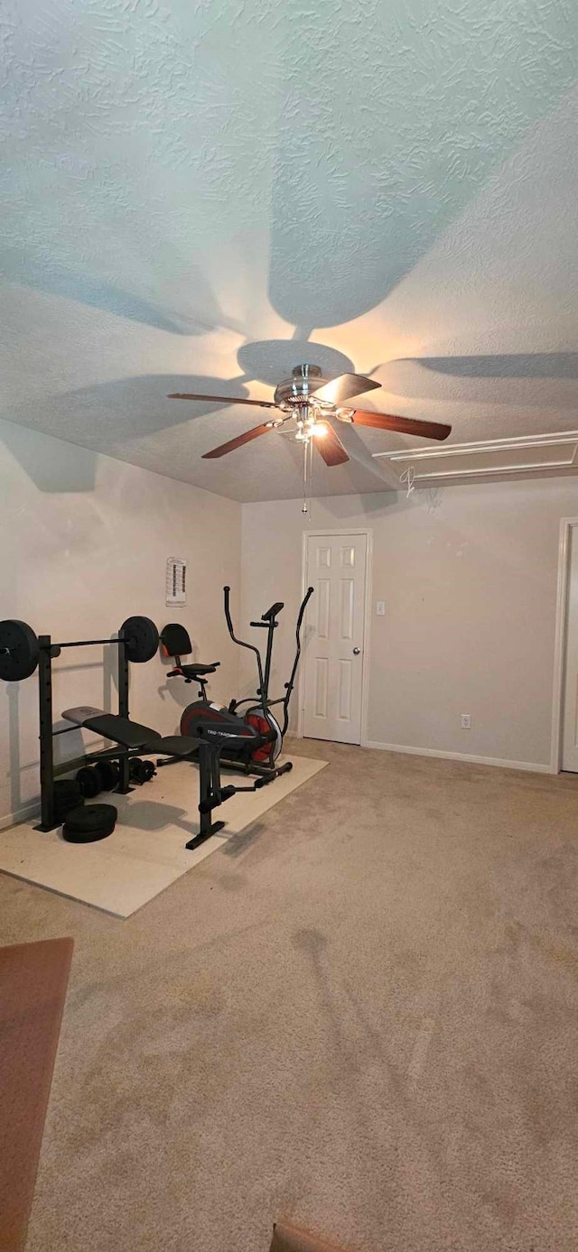 exercise area featuring carpet, a ceiling fan, and a textured ceiling