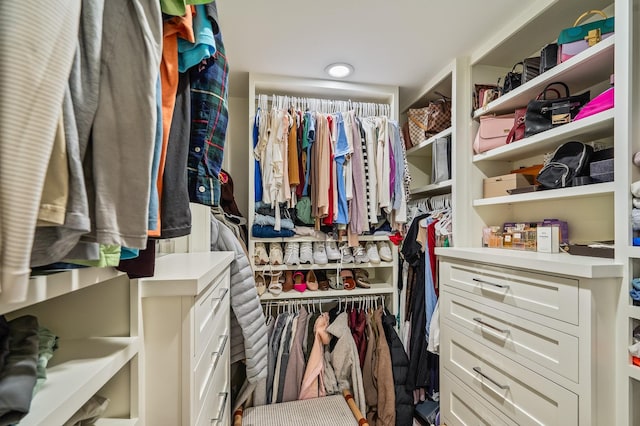 view of spacious closet
