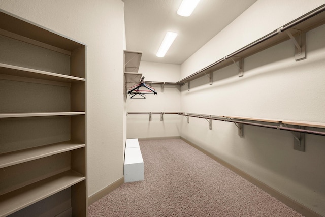 spacious closet featuring carpet flooring