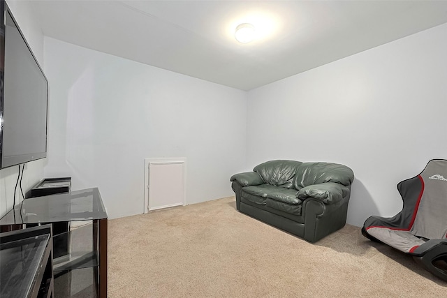 living area with carpet floors