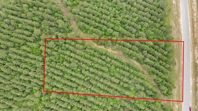 15522 Wood Grove Way, Willis, TX 77378