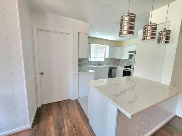 kitchen featuring a sink, stainless steel appliances, a peninsula, under cabinet range hood, and dark wood-style floors
