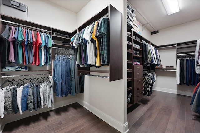 walk in closet featuring wood finished floors