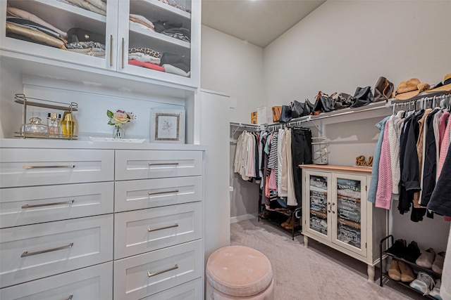 2502 Forest Side Ct, Missouri City, TX 77459 - walk in closet with light carpet