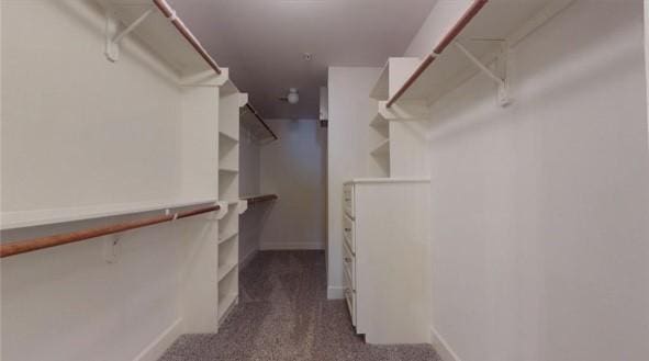 spacious closet with dark carpet