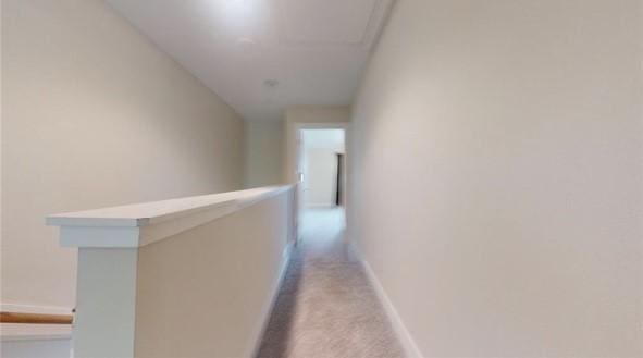 hall featuring baseboards and carpet flooring