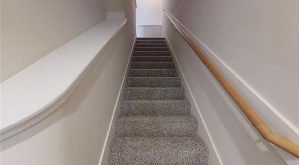 stairs with carpet floors