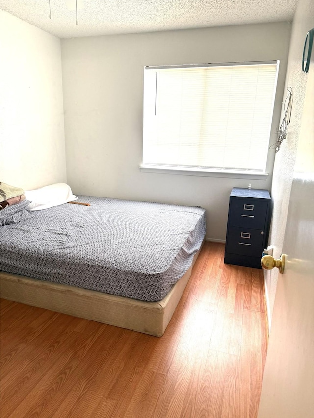 12606 Newbrook Dr, Houston, TX 77072 - bedroom featuring light wood finished floors
