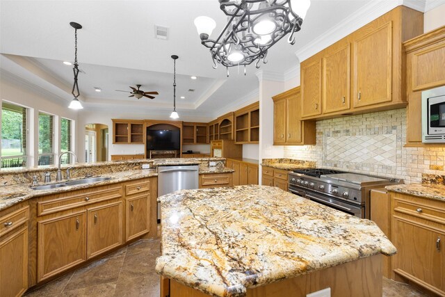 kitchen with a tray ceiling, appliances with stainless steel finishes, ornamental molding, and a sink