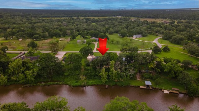 7739 County Road 684, Sweeny, TX 77480 - birds eye view of property with a water view and a forest view