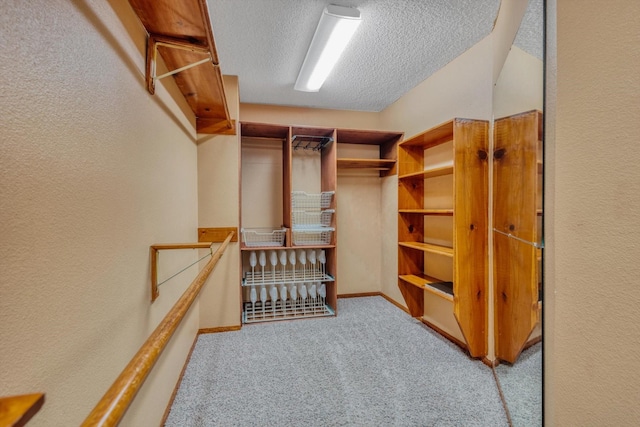 7739 County Road 684, Sweeny, TX 77480 - walk in closet featuring carpet floors