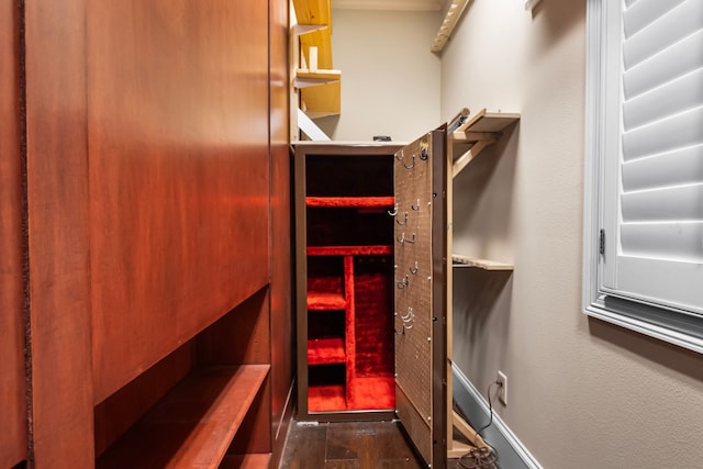 392 Green Cove Dr, Montgomery, TX 77356 - walk in closet with dark wood-type flooring