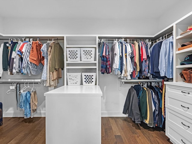 spacious closet featuring dark wood-style flooring