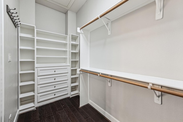 walk in closet featuring dark wood-style floors