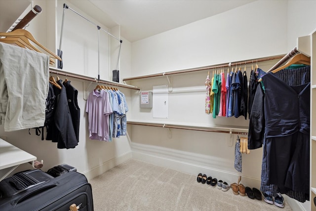 27018 Camirillo Creek Ln, Katy, TX 77494 - spacious closet featuring carpet floors