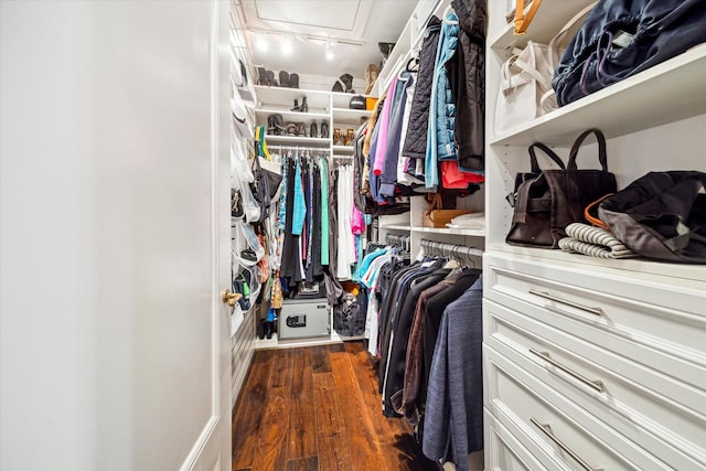 56 Audubon Hollow Ln, Houston, TX 77027 - walk in closet with wood finished floors