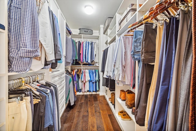 56 Audubon Hollow Ln, Houston, TX 77027 - walk in closet with wood-type flooring