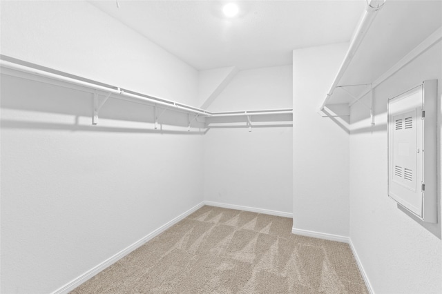 walk in closet featuring carpet floors