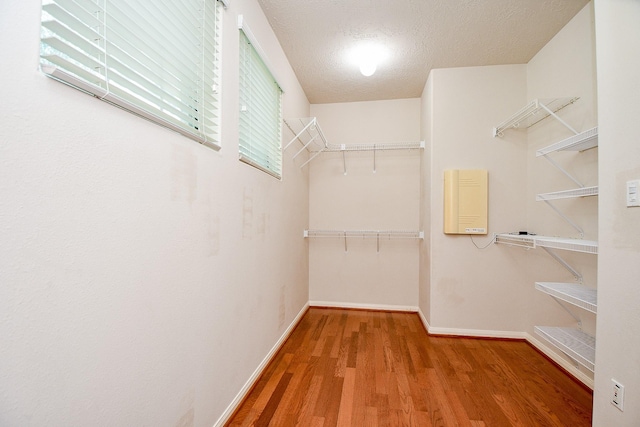17411 Lonesome Dove Trl, Houston, TX 77095 - photo 16