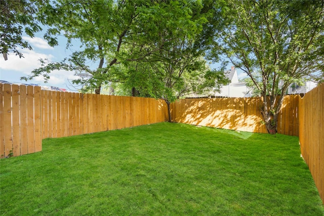view of yard with a fenced backyard