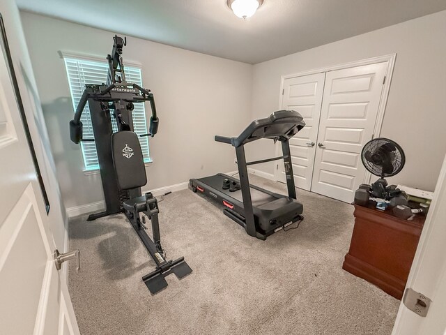 exercise area with carpet floors, plenty of natural light, and baseboards