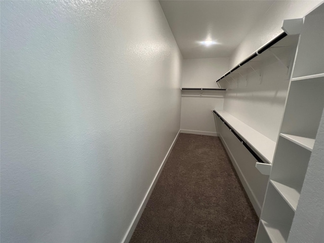 2223 Inglenook Grove Dr, Katy, TX 77493 - spacious closet with dark carpet