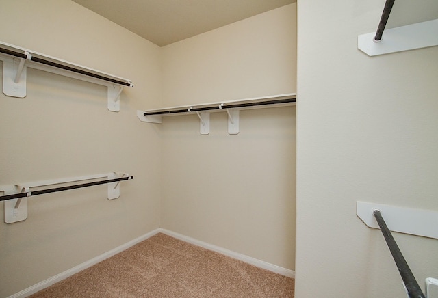 spacious closet with carpet