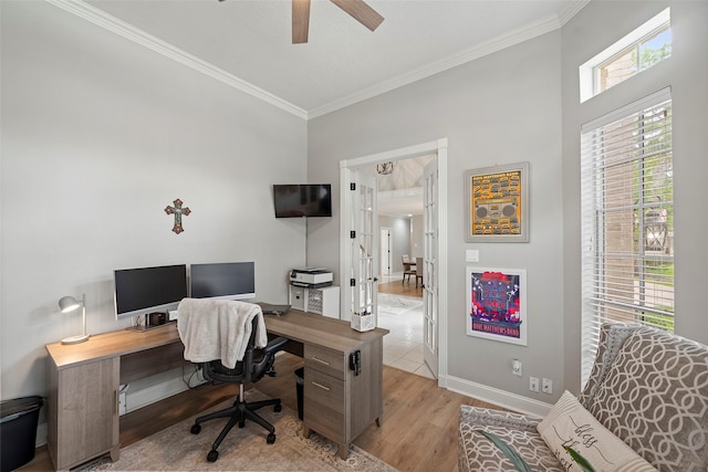office with light wood-type flooring, ornamental molding, baseboards, and ceiling fan