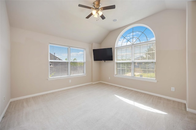 spare room with carpet floors and a wealth of natural light