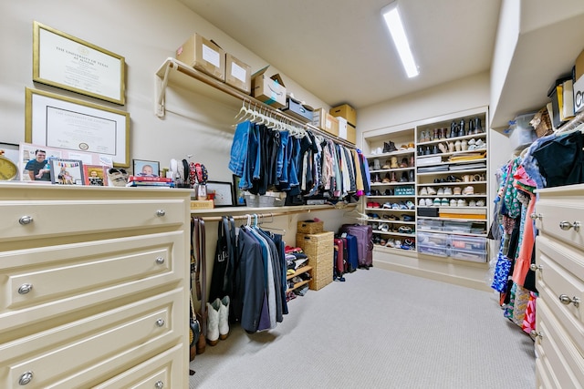 spacious closet with carpet floors