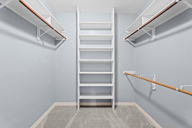 walk in closet with carpet