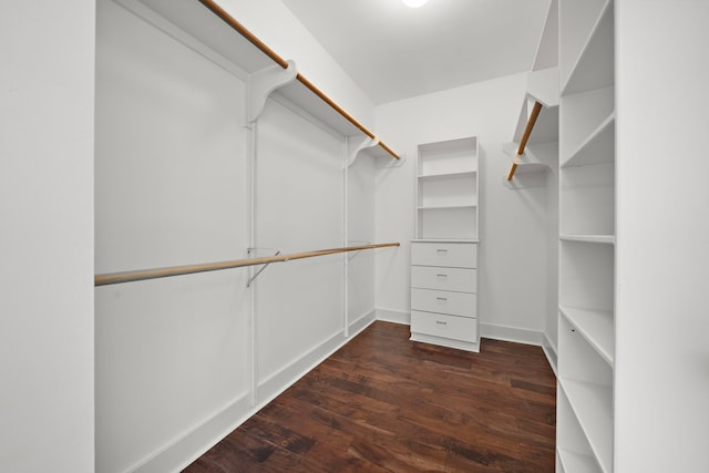 spacious closet featuring dark wood-type flooring