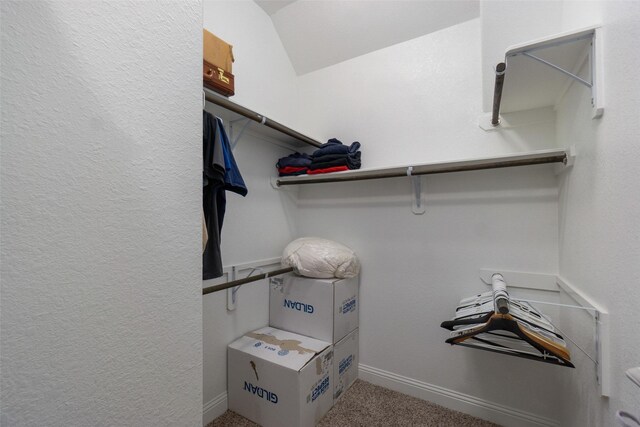 walk in closet with lofted ceiling and carpet