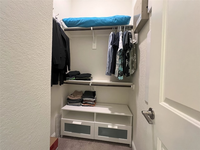 spacious closet with carpet