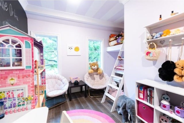 recreation room with a wealth of natural light and wood finished floors