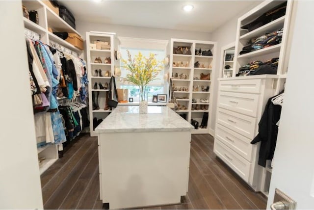 spacious closet with dark wood-style flooring