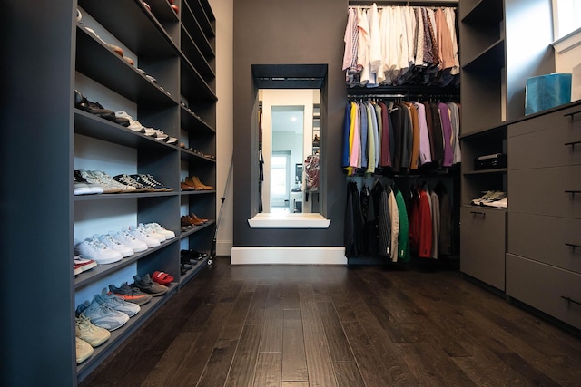 walk in closet featuring dark wood finished floors