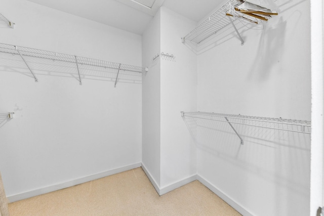 walk in closet featuring light carpet