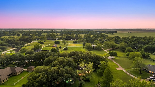 bird's eye view
