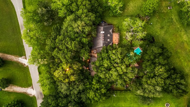 bird's eye view
