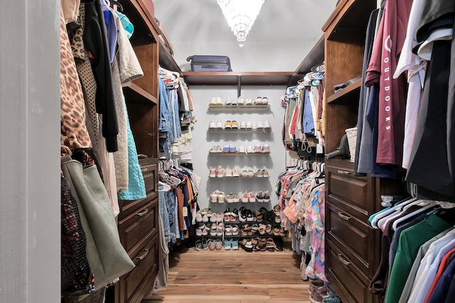 walk in closet featuring light wood-style flooring