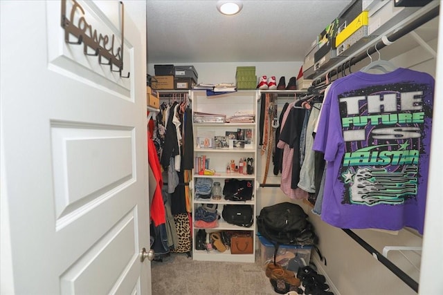 spacious closet with carpet floors